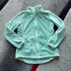 The North Face Mint Fleece Full Zip Sweater